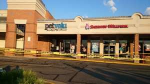 Springfield stabbing