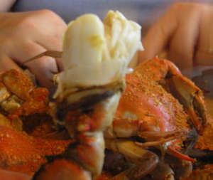 Crabmeat2