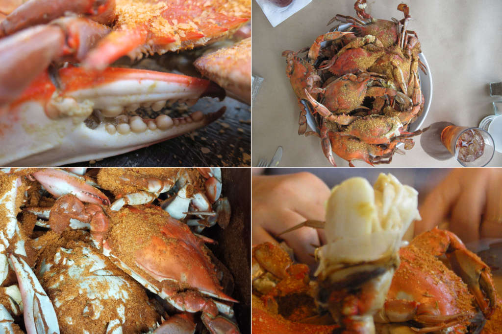 Crabs comp