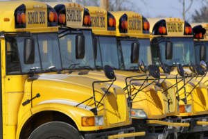 School buses