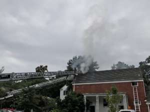 Alexandria Fire Four