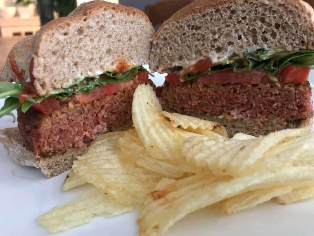 Beyond Burger