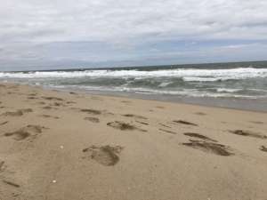 Ocean City MC