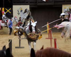 Renfest Photo