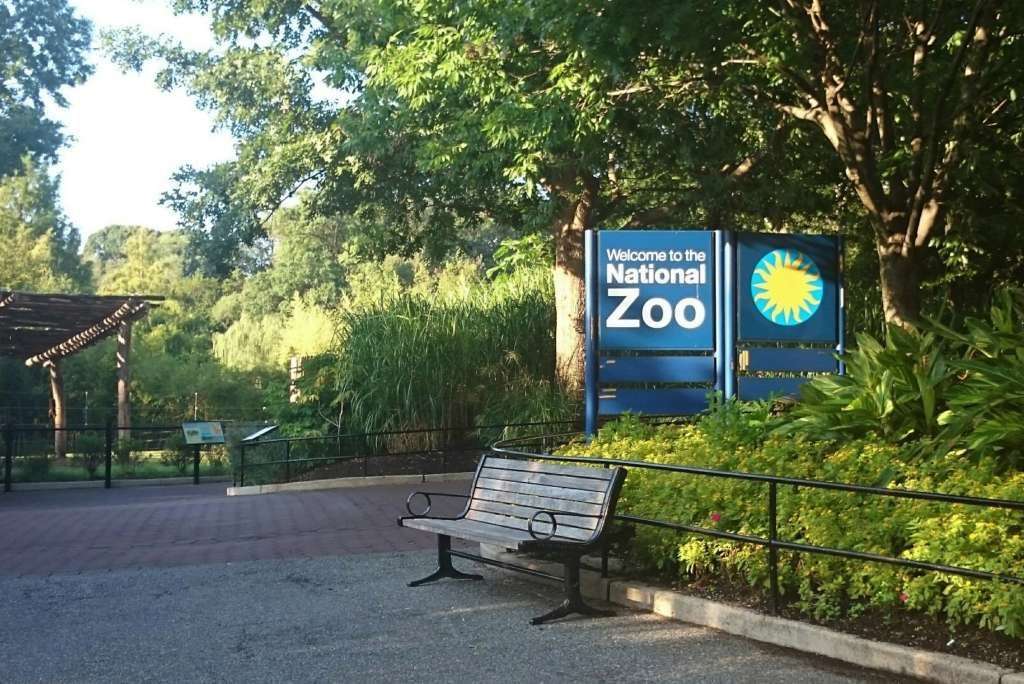 National Zoo Foley