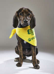 Sally from City Dog Rescue. (Courtesy Animal Planet)