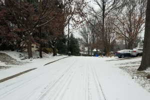 1230 lisasnow