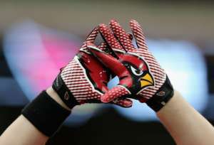 Arizona Cardinals Training Camp