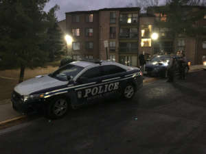 Fairfax Co Police Annandale