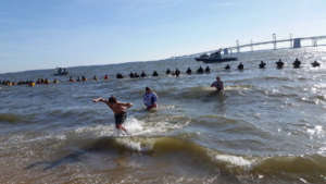 Polar Bear Plunge WTOP KST