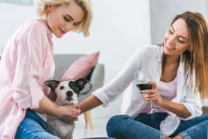 Beautiful girls with dog and glass of red wine at home