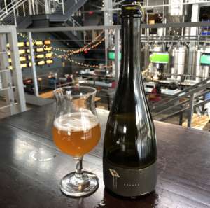 Beer of the Week
