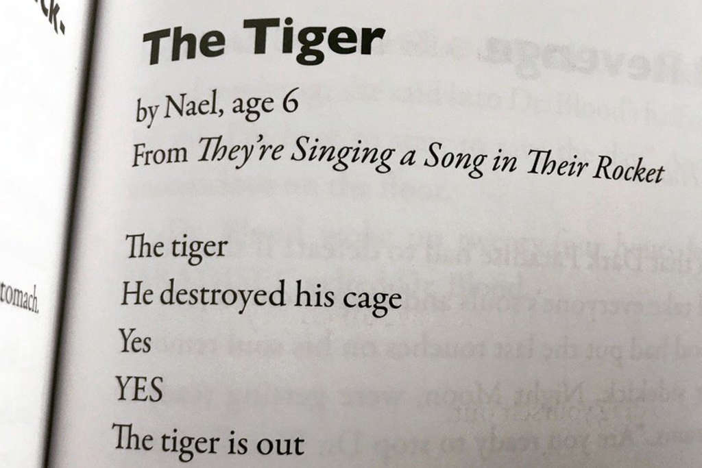 0306 tiger