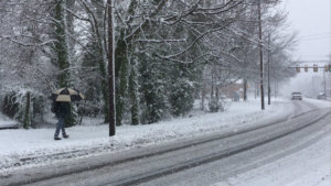 0321 Snow peds