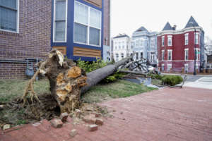 Washington Weather High Winds