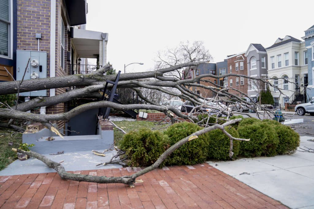 Washington Weather High Winds