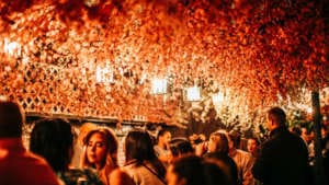 Cherry Blossom PUB media night