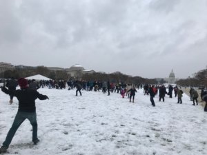 Dick snowball Mall