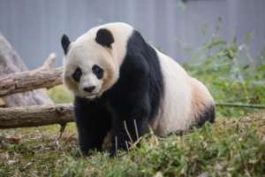 Meixiang img 5191
