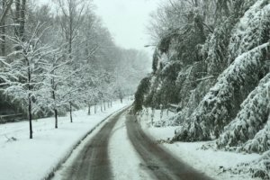 Snow