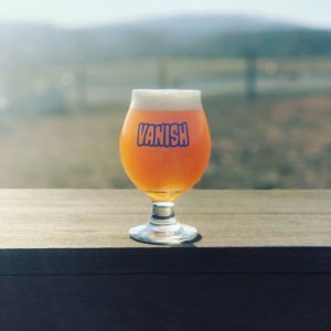 0411 beerVanish