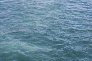 Close up view of River