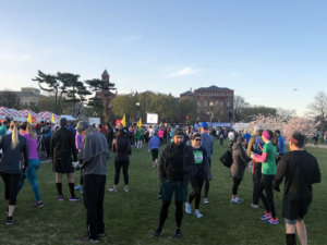 Cherryblossommilerun3