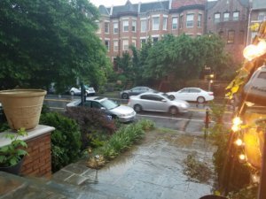 Rain 5/31