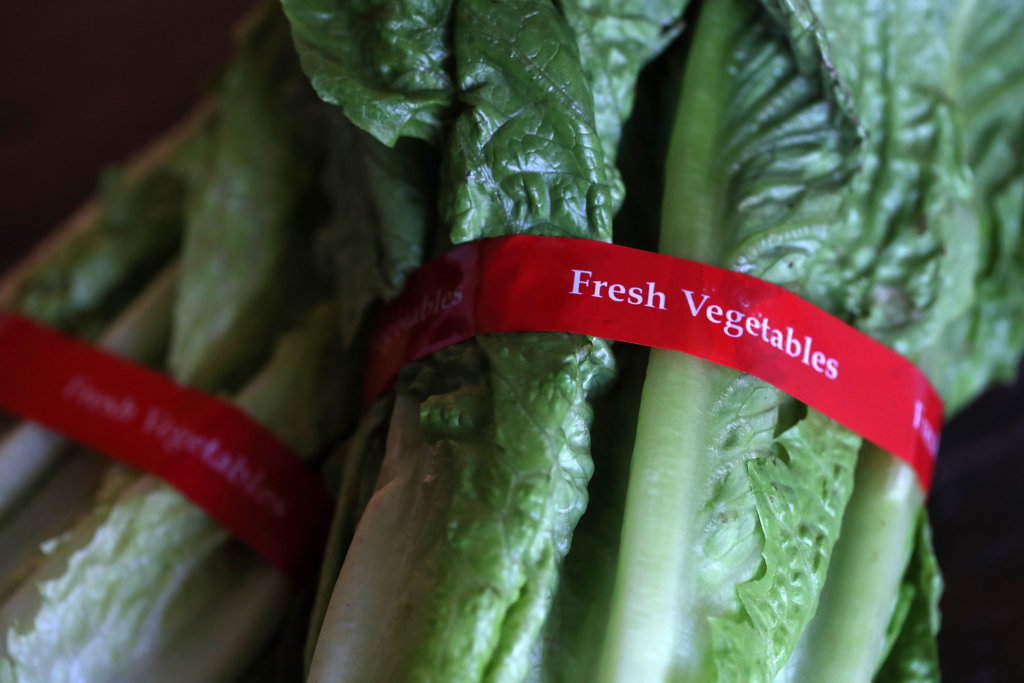 First Death Reported Related To E Coli Outbreak Sourced To Romaine Lettuce