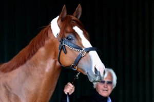 Preakness Stakes Previews