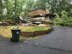 Treedamage
