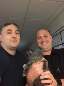 Cat with rescuers