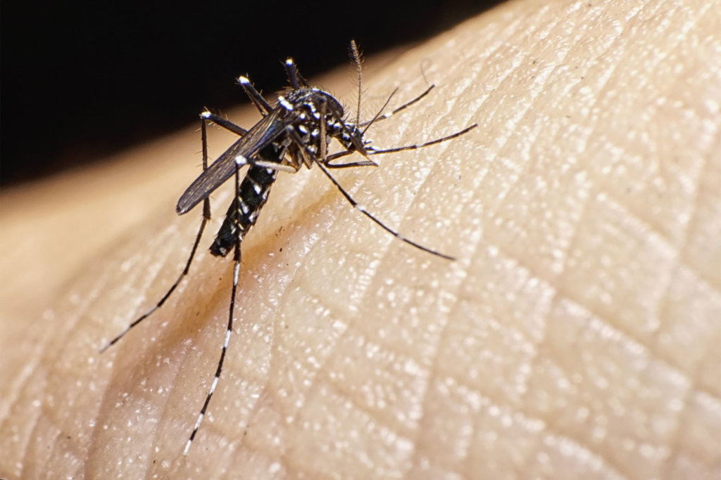 072318 west nile