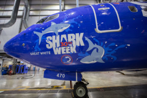 180709 Shark Week WEB002 source