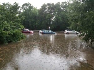 Arlington flood