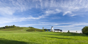 RdV Vineyards