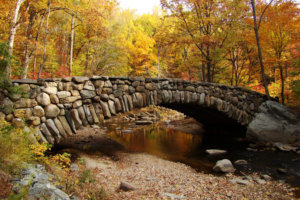 Rock Creek park Bridge Fall Foliage