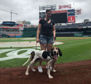 SMOKE AT NATS PARK