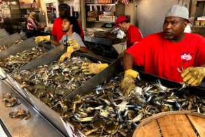 Crabs3