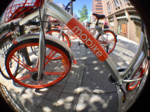 Mobike1