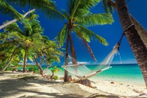 Empty hammock in the shade of palm trees, Fiji