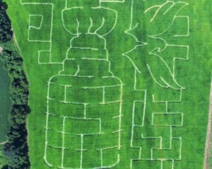 Stanley cup maze