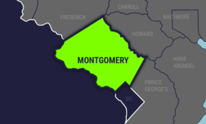 Montgomery00