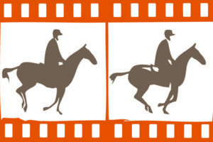 Middleburg film fest