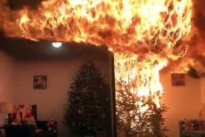 1206 treefire