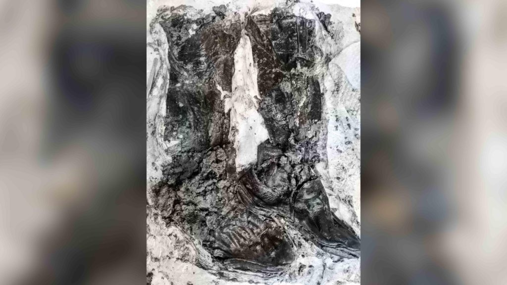 500 Year Old Skeleton Found