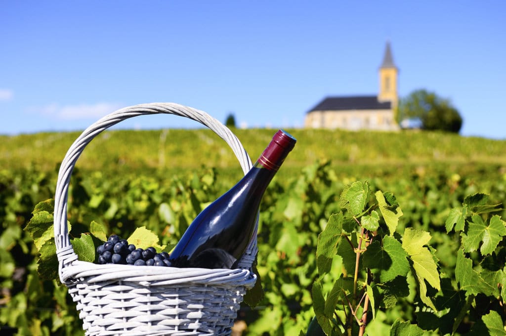 A bottle of red wine in a feel of vines with a church