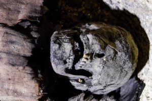 190203094044 egypt mummies 3 live video
