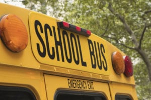 Schoolbus generic ts