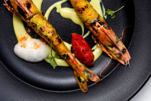 0274 PunjabGrill 01 26 19 SMALL